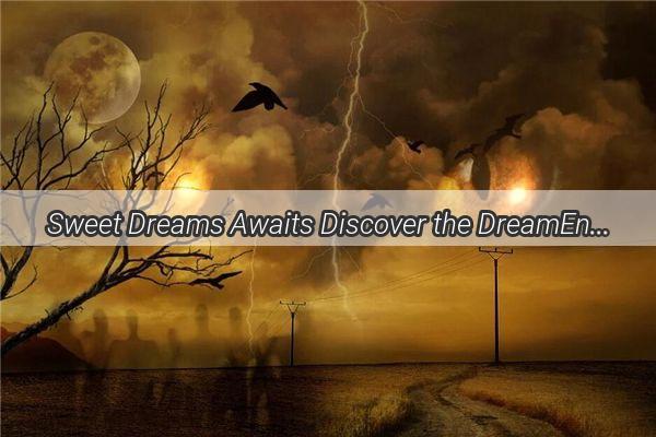 Sweet Dreams Awaits Discover the DreamEnhancing Pill Thatll Make Your Nighttime Dreams a Reality